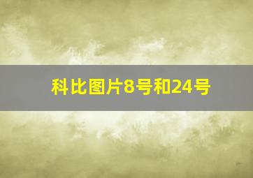 科比图片8号和24号