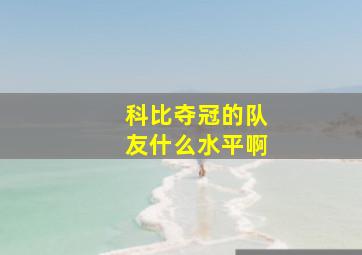 科比夺冠的队友什么水平啊