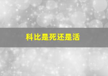 科比是死还是活