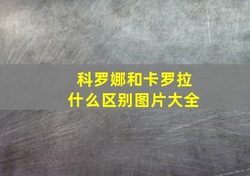 科罗娜和卡罗拉什么区别图片大全