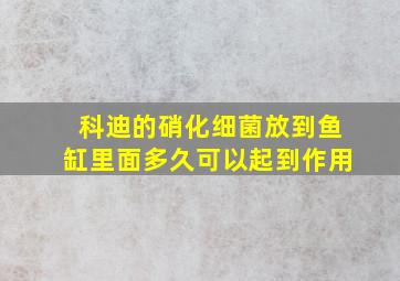 科迪的硝化细菌放到鱼缸里面多久可以起到作用