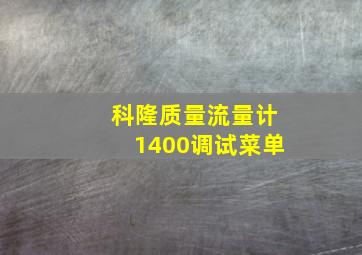 科隆质量流量计1400调试菜单