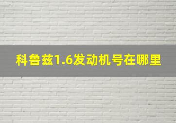 科鲁兹1.6发动机号在哪里