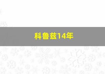 科鲁兹14年