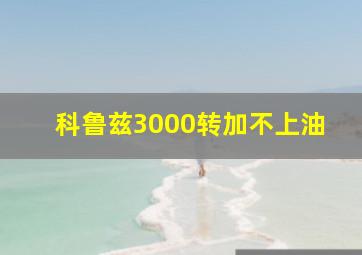 科鲁兹3000转加不上油