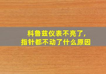 科鲁兹仪表不亮了,指针都不动了什么原因