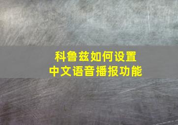 科鲁兹如何设置中文语音播报功能