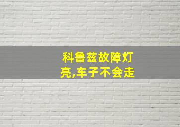 科鲁兹故障灯亮,车子不会走