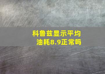 科鲁兹显示平均油耗8.9正常吗