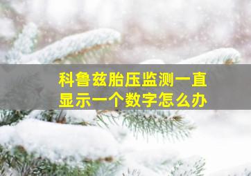 科鲁兹胎压监测一直显示一个数字怎么办