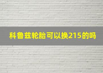 科鲁兹轮胎可以换215的吗