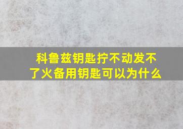 科鲁兹钥匙拧不动发不了火备用钥匙可以为什么