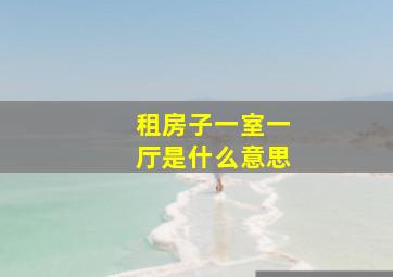 租房子一室一厅是什么意思