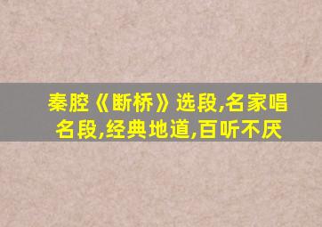 秦腔《断桥》选段,名家唱名段,经典地道,百听不厌