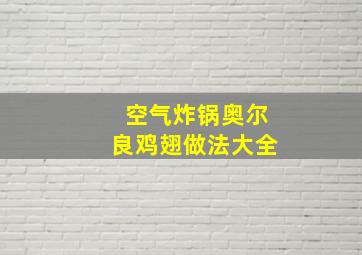 空气炸锅奥尔良鸡翅做法大全