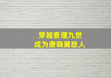 穿越查理九世成为唐晓翼敌人