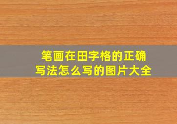 笔画在田字格的正确写法怎么写的图片大全