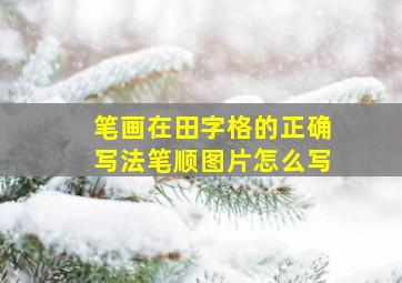 笔画在田字格的正确写法笔顺图片怎么写