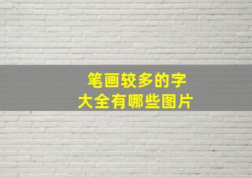 笔画较多的字大全有哪些图片