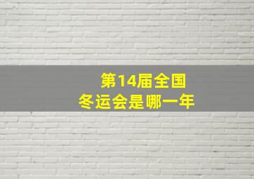 第14届全国冬运会是哪一年