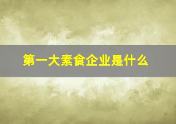 第一大素食企业是什么