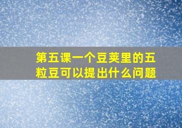 第五课一个豆荚里的五粒豆可以提出什么问题