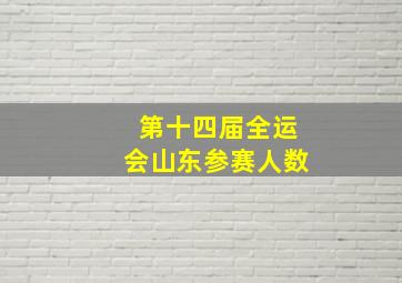 第十四届全运会山东参赛人数