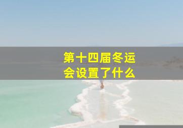 第十四届冬运会设置了什么