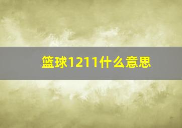 篮球1211什么意思