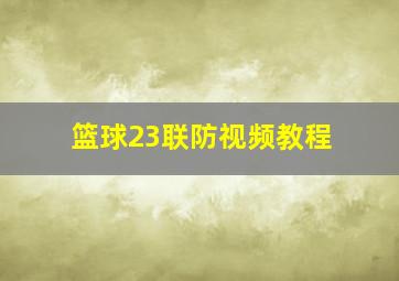 篮球23联防视频教程