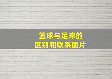 篮球与足球的区别和联系图片