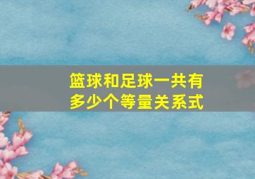 篮球和足球一共有多少个等量关系式