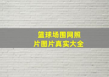 篮球场围网照片图片真实大全