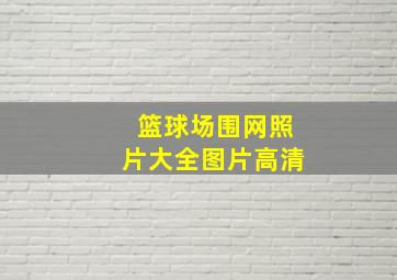 篮球场围网照片大全图片高清