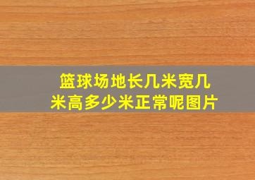 篮球场地长几米宽几米高多少米正常呢图片