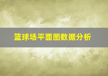 篮球场平面图数据分析