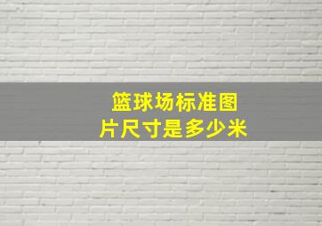 篮球场标准图片尺寸是多少米