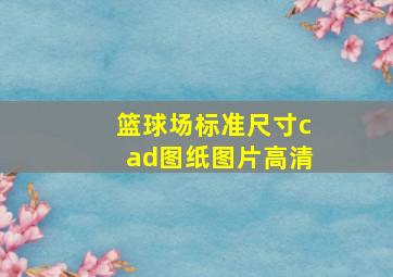 篮球场标准尺寸cad图纸图片高清