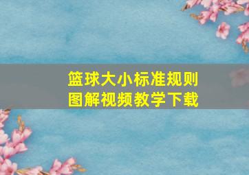 篮球大小标准规则图解视频教学下载