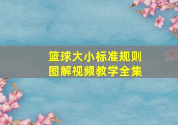 篮球大小标准规则图解视频教学全集