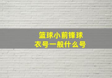 篮球小前锋球衣号一般什么号