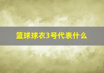 篮球球衣3号代表什么