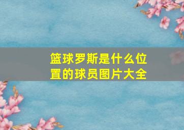 篮球罗斯是什么位置的球员图片大全