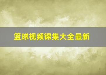 篮球视频锦集大全最新