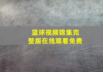 篮球视频锦集完整版在线观看免费