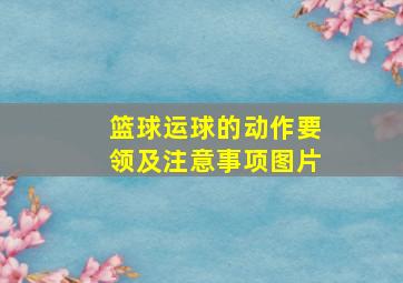 篮球运球的动作要领及注意事项图片