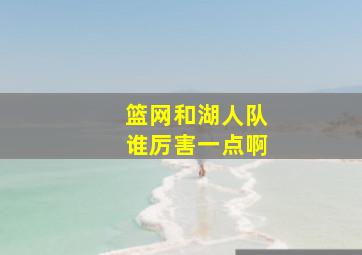 篮网和湖人队谁厉害一点啊