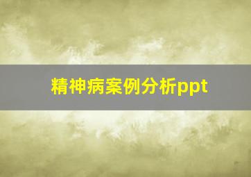 精神病案例分析ppt