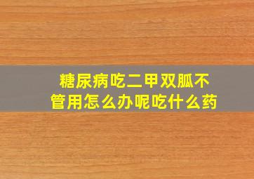 糖尿病吃二甲双胍不管用怎么办呢吃什么药