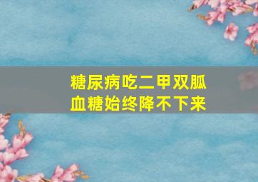 糖尿病吃二甲双胍血糖始终降不下来